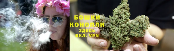 гашиш Дмитриев