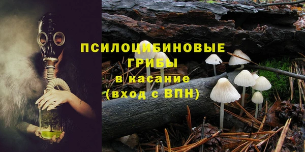 кокс Дмитров