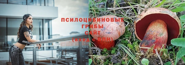 не бодяженный Гусиноозёрск