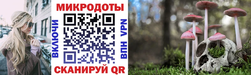 Купить закладки  Кириши  Галлюциногенные грибы Magic Shrooms 